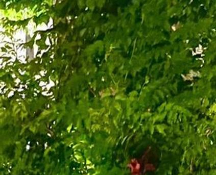 Girl Alone - Danyelles